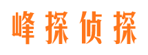 和静找人公司